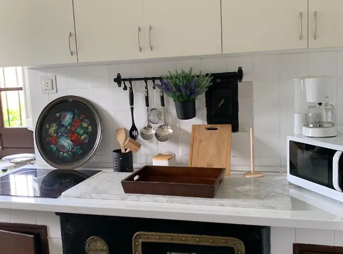 La Sombra De Don Pelayo